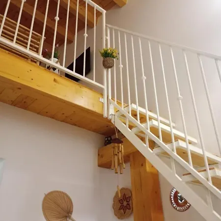 Residenza Ronna Razia