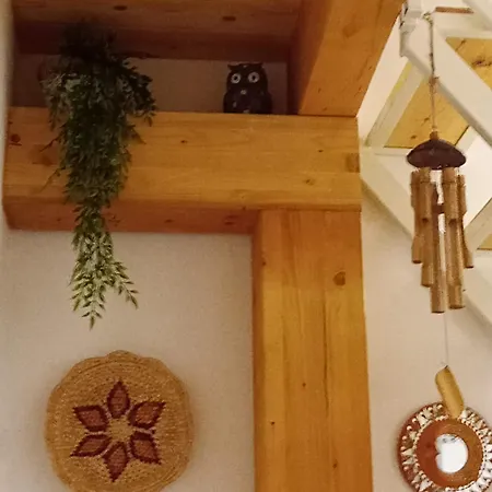 Residenza Ronna Razia